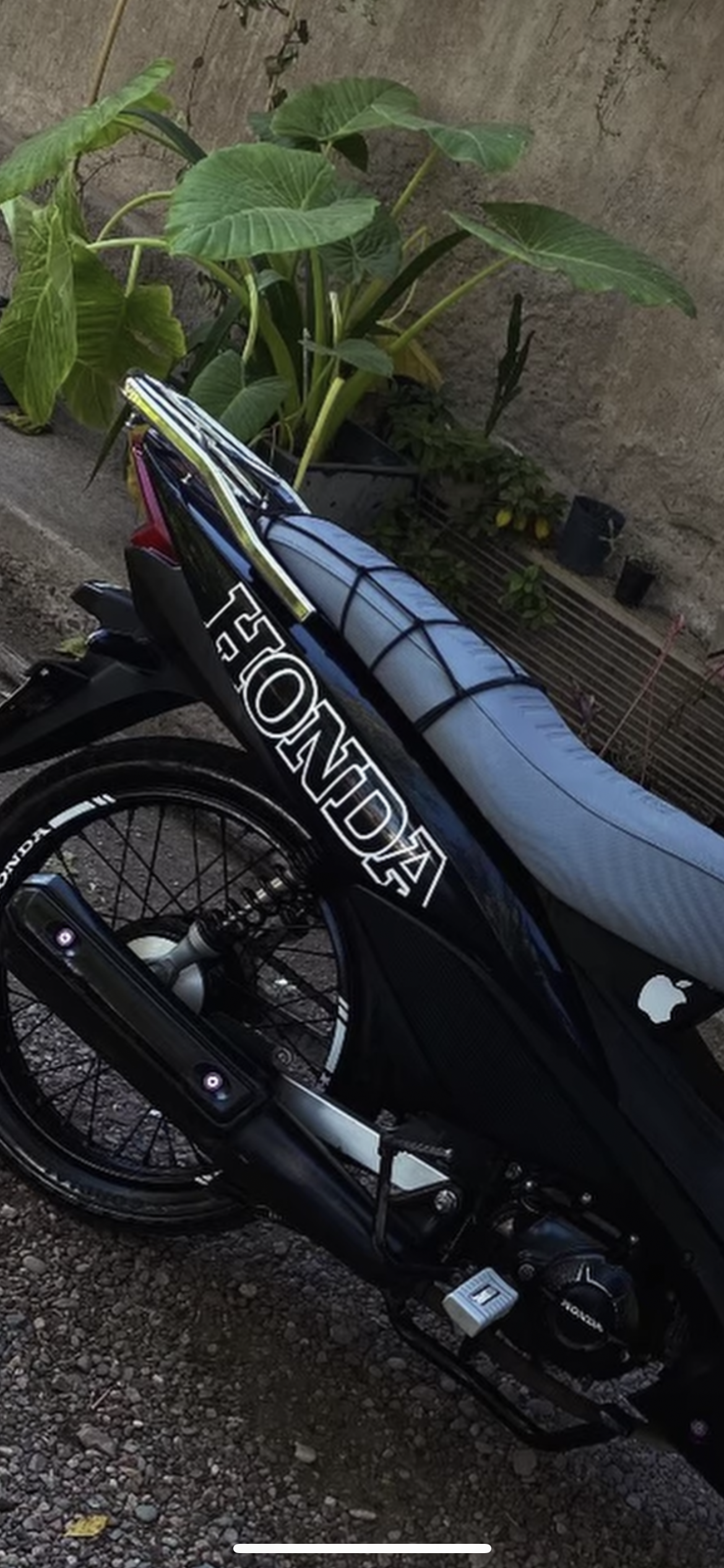 Calcos HONDA grande modelo 9 blancas 